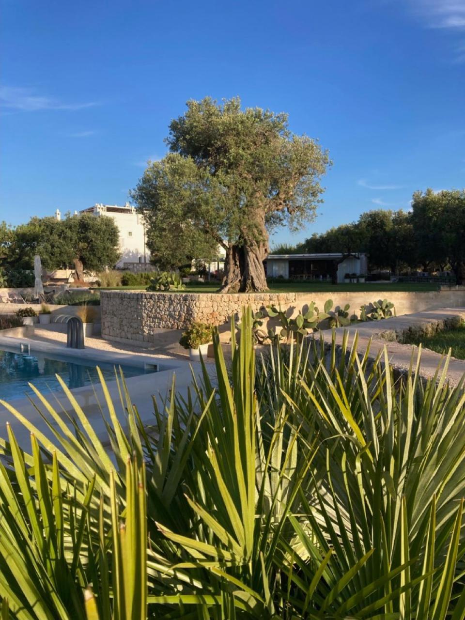 Boutique Hotel Masseria Sottomasi Savelletri Extérieur photo
